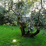 Bed and Breakfast B&blatosca