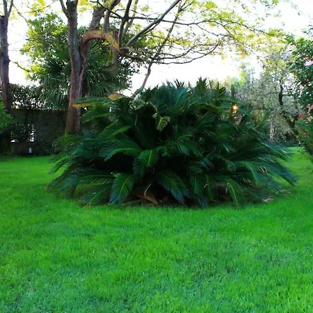 B&blatosca Frühstückspension 4*